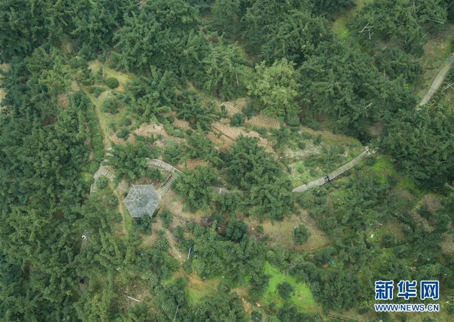 张津瑜无码无删减片段