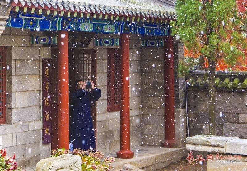 成人 黄色 直播