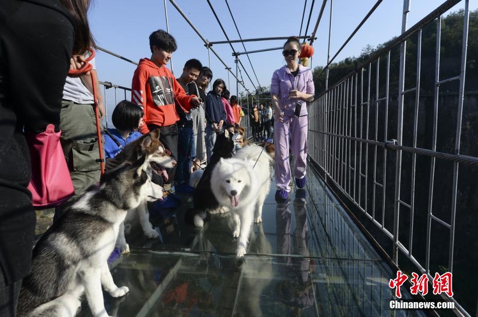 中国饥喝妓女老太漂Bbww视频