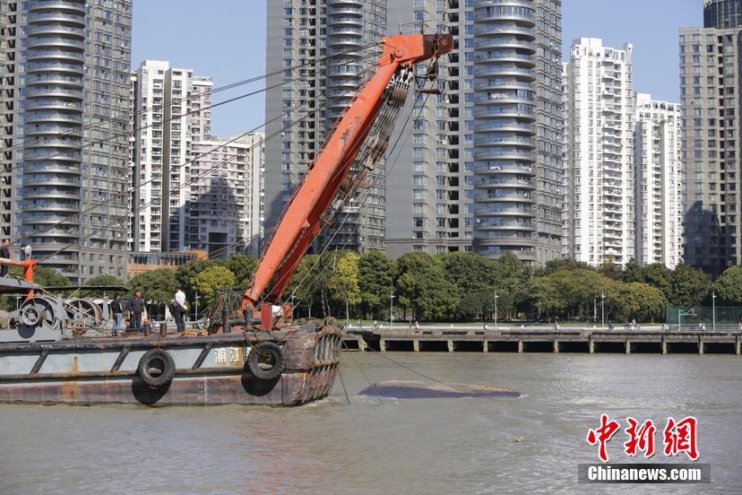 黄色网站免费下载安装