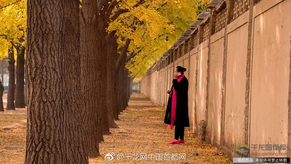 下抖音黄色电影