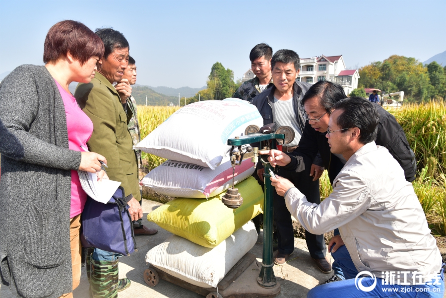 女人Av在線播