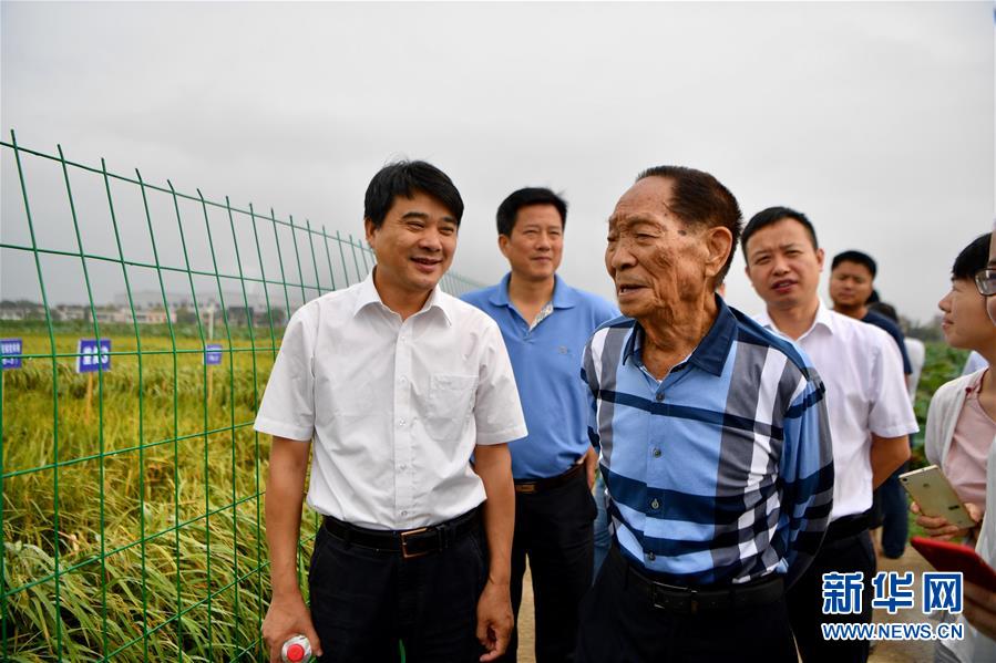 色情 免费 在线