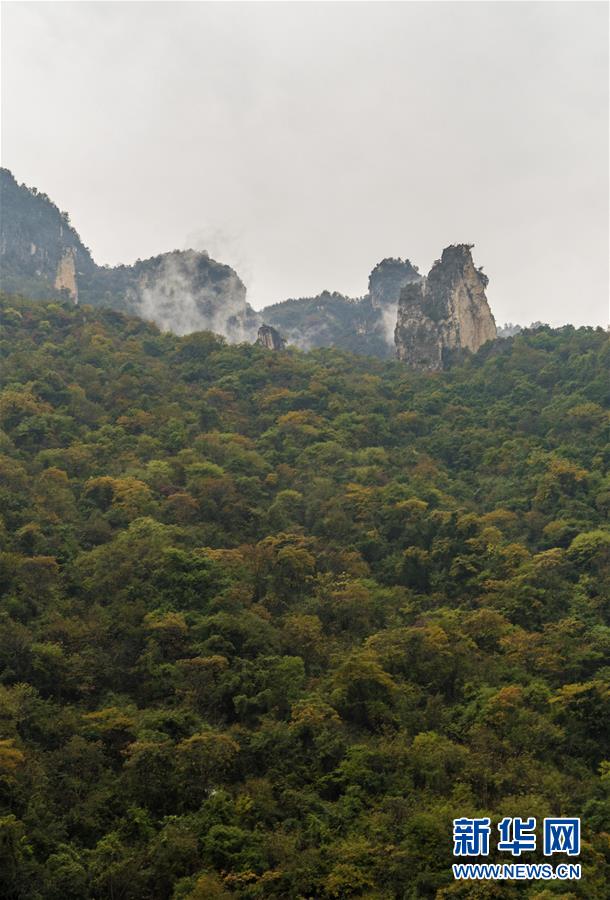 1000又爽又黄禁片