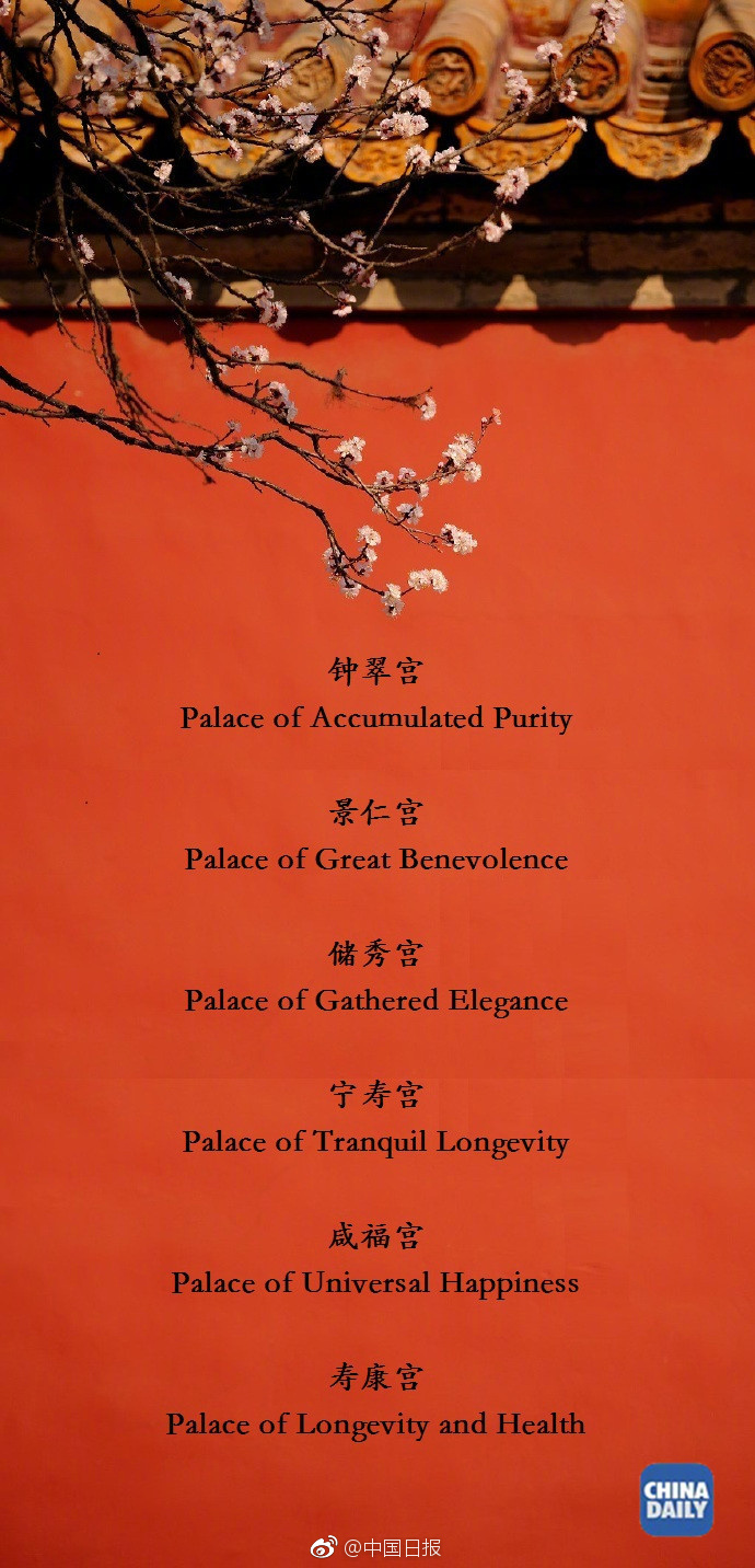 AV一级片