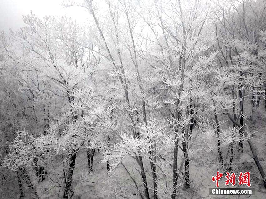 《和部长一起去出差旅》