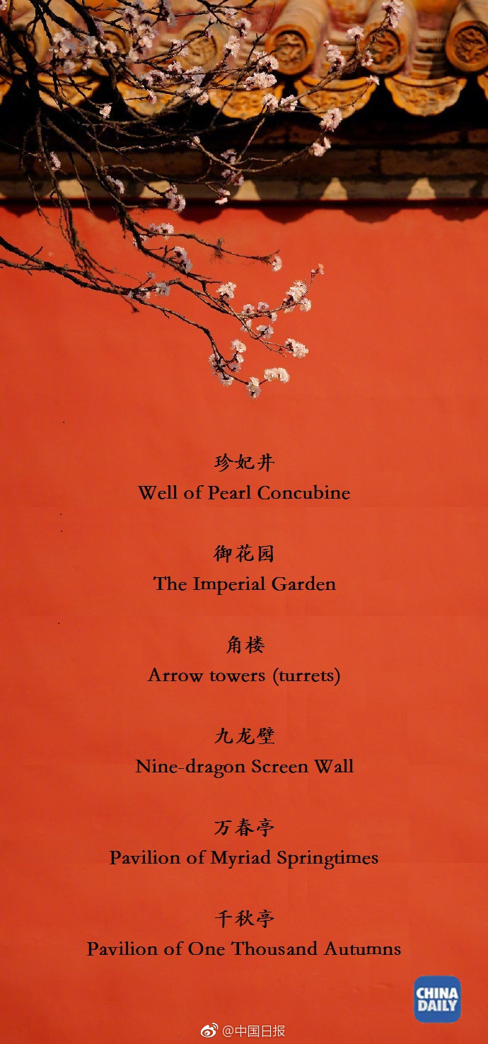 街頭露鮑