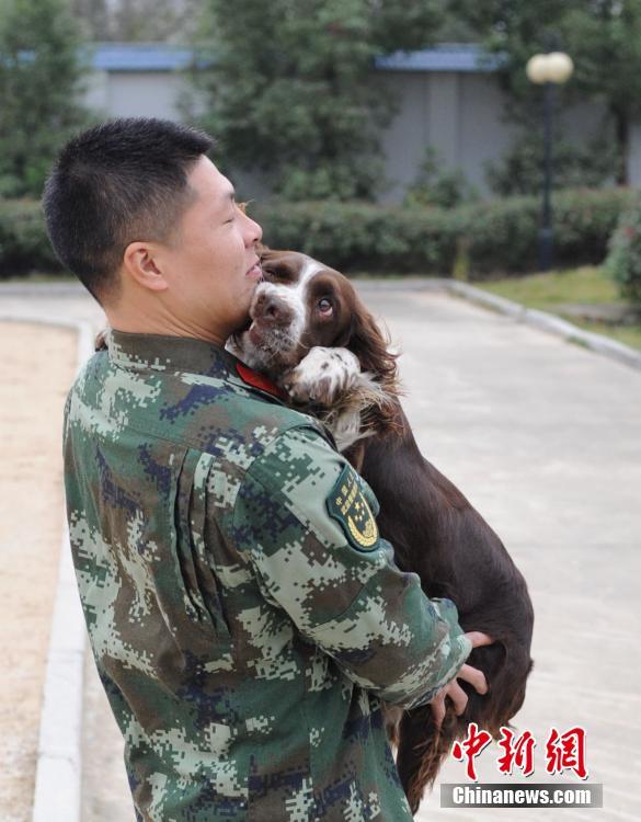 女 明星 性爱 视频