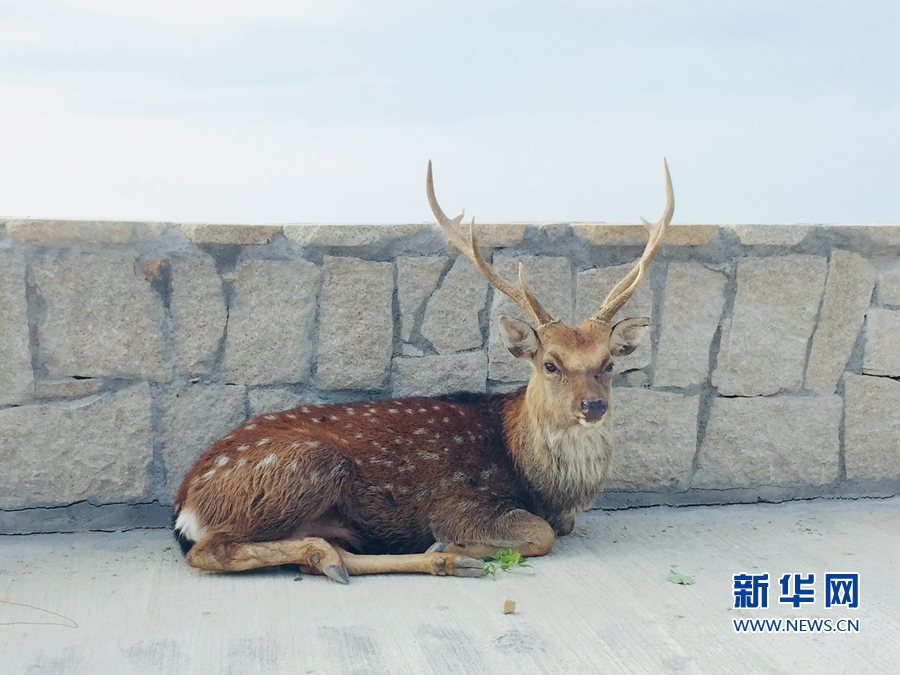 三级片无码电影韩国