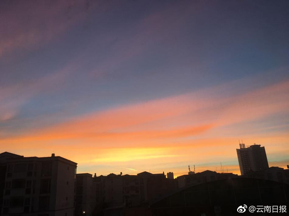 www.91视频网