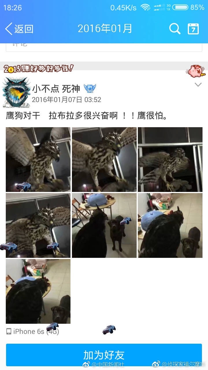 凱特溫絲蕾
