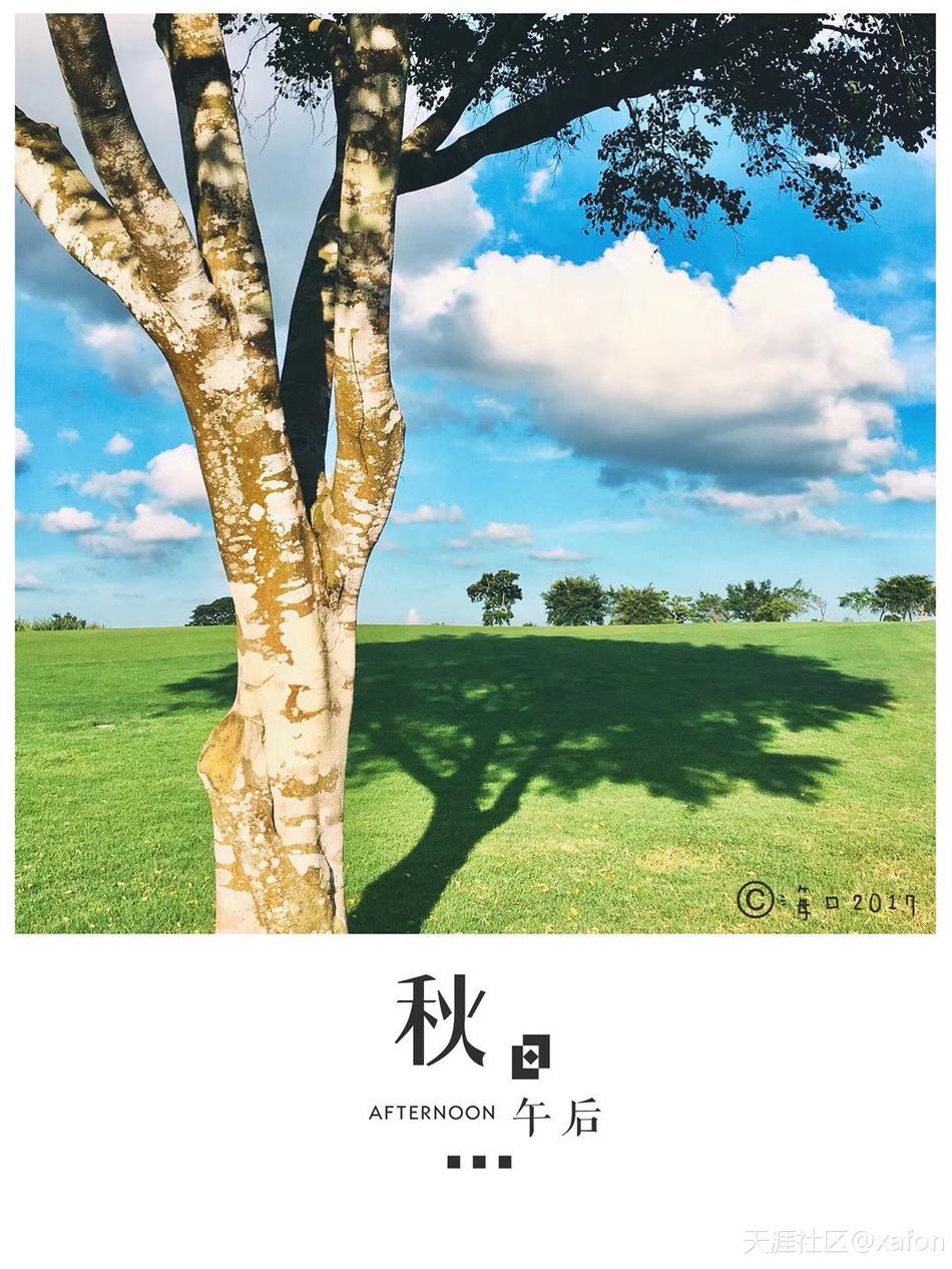 诱子媾交小说