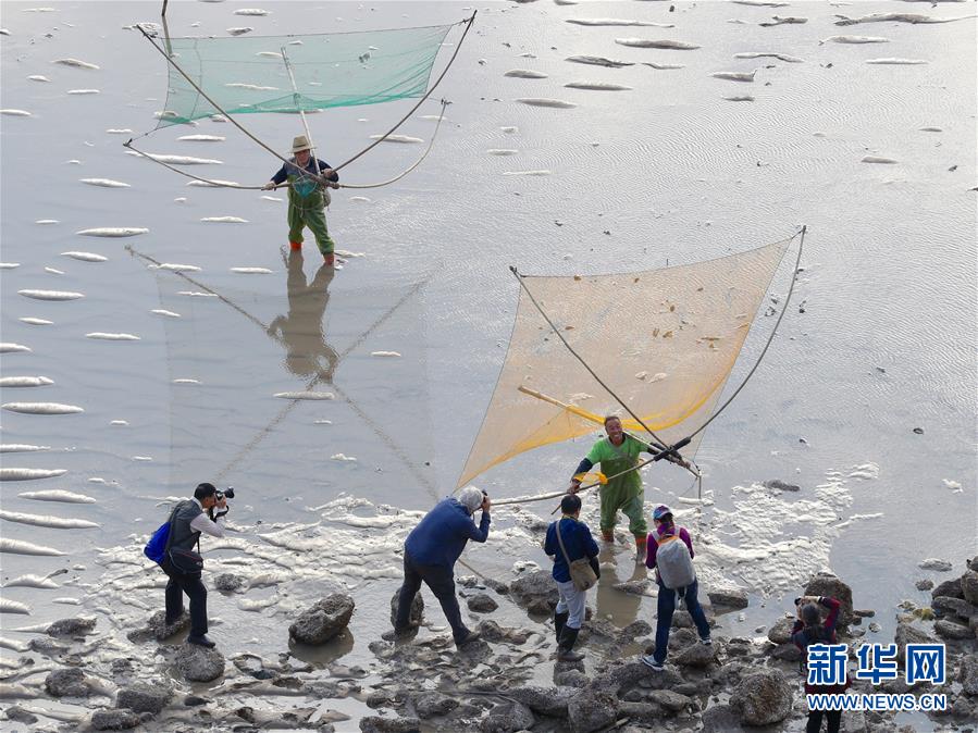 欧美激情性爱聚会