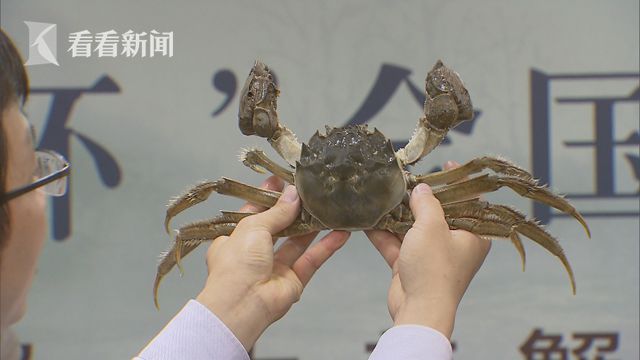 沢木和也