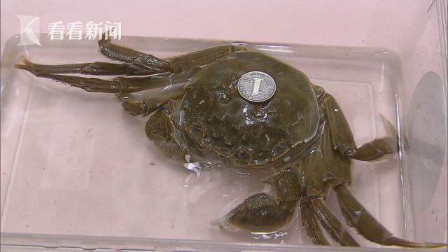 国产精品一二三四