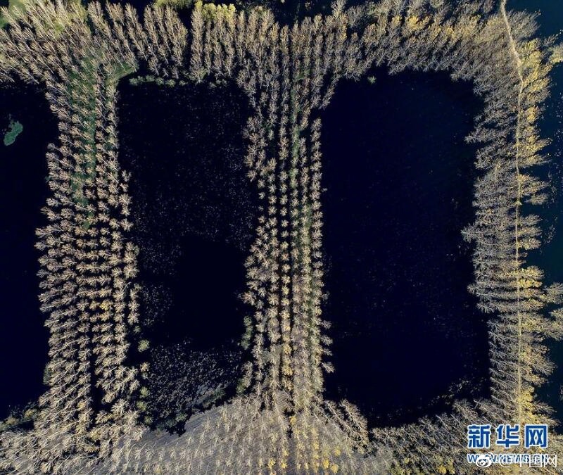 夫妻性生活黄色网站美女