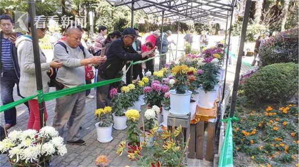 大香蕉导航