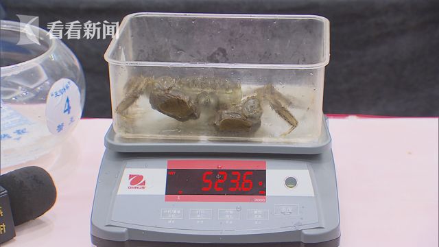 好吊妞这里只有精品