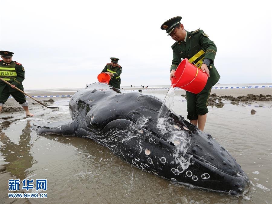 高清一区二区