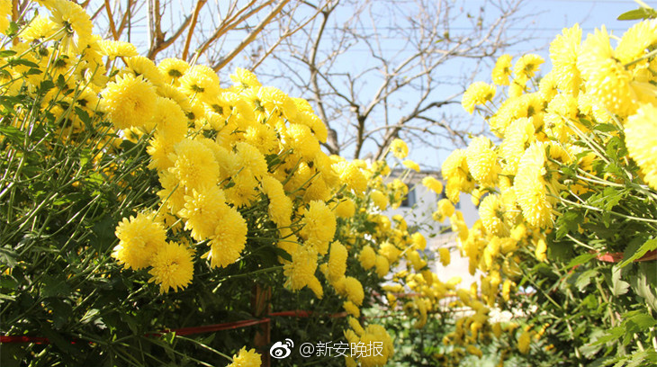 国内毛片
