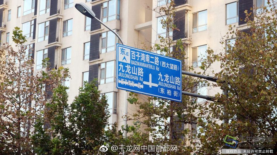 女忍者训练师手游0.16.2
