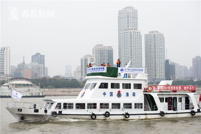张柏芝殖器十二图片