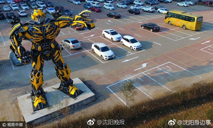 欧洲免费网站无码