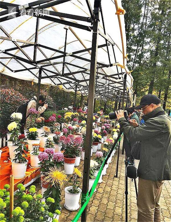 花樣女鬼