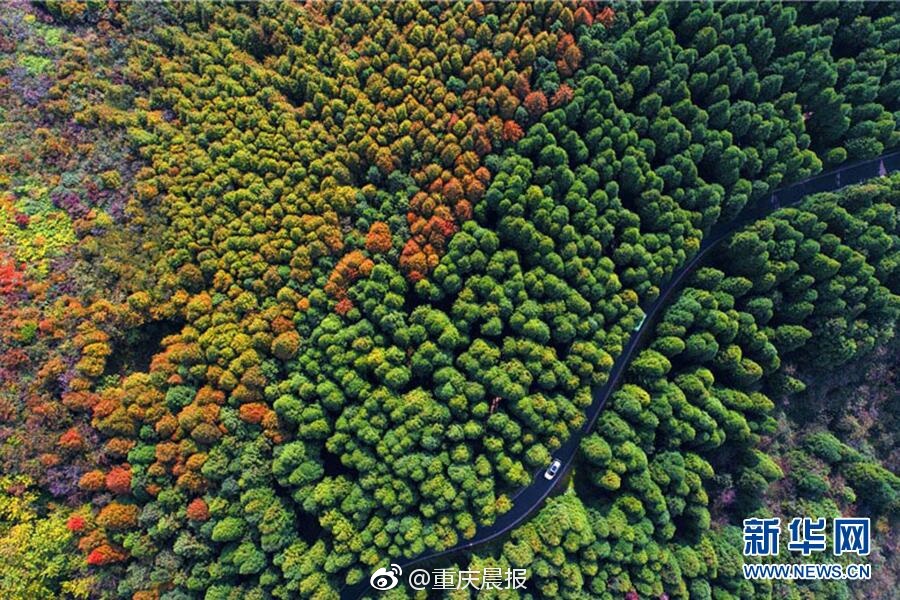 韩国理伦大片三?在线播放