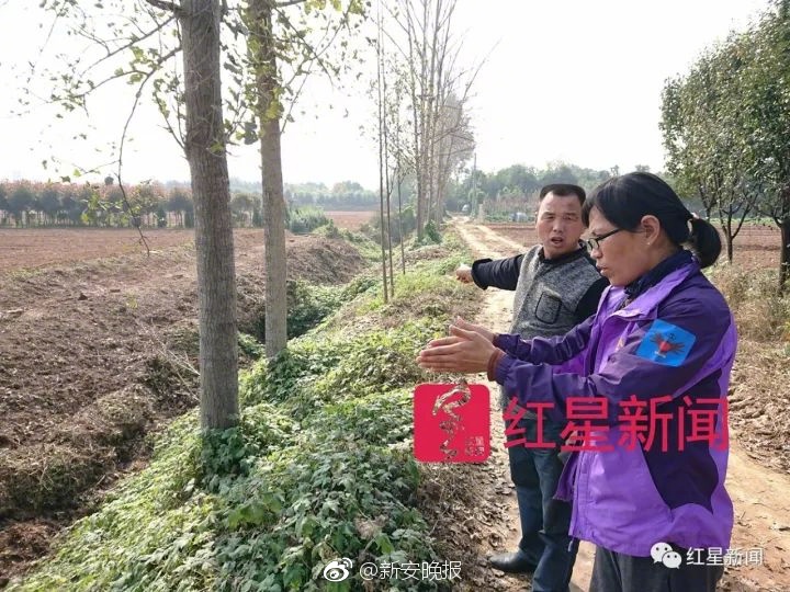 欧美裸体模特视频