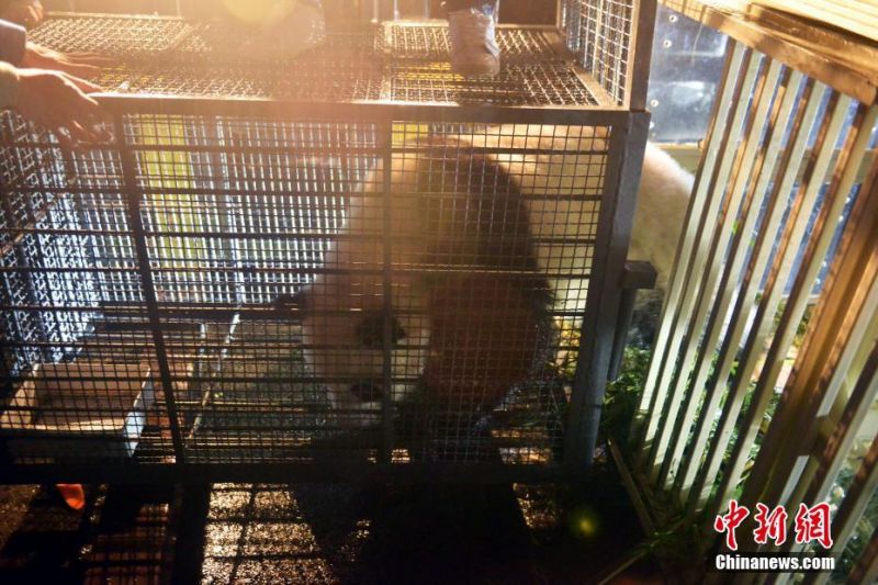 台灣老闆娘