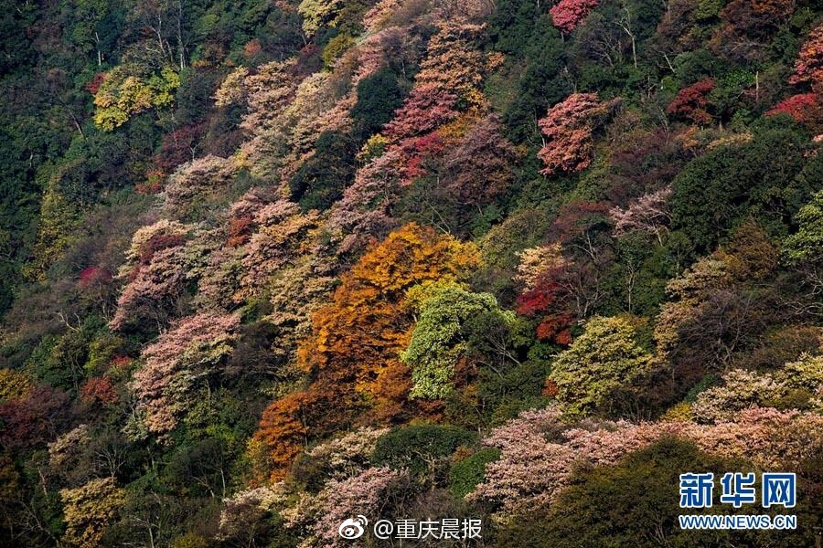无码爱爱