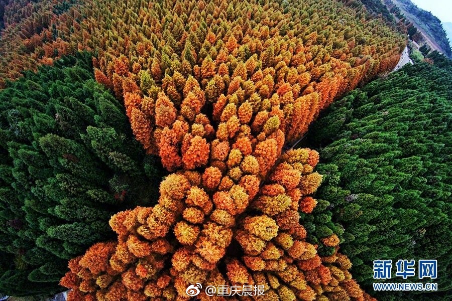 色自拍偷拍