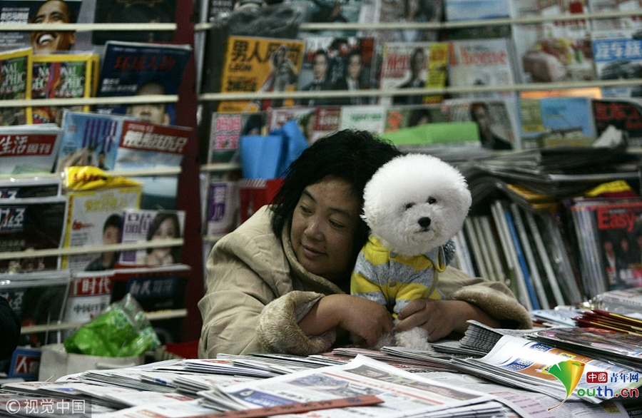 健美小姐