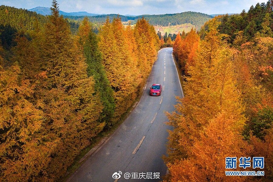 白邻被操哭