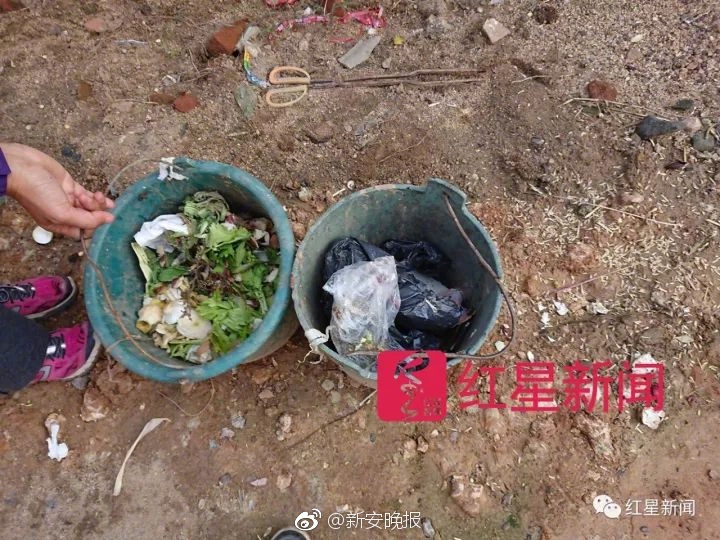 亚洲欧美在线视频