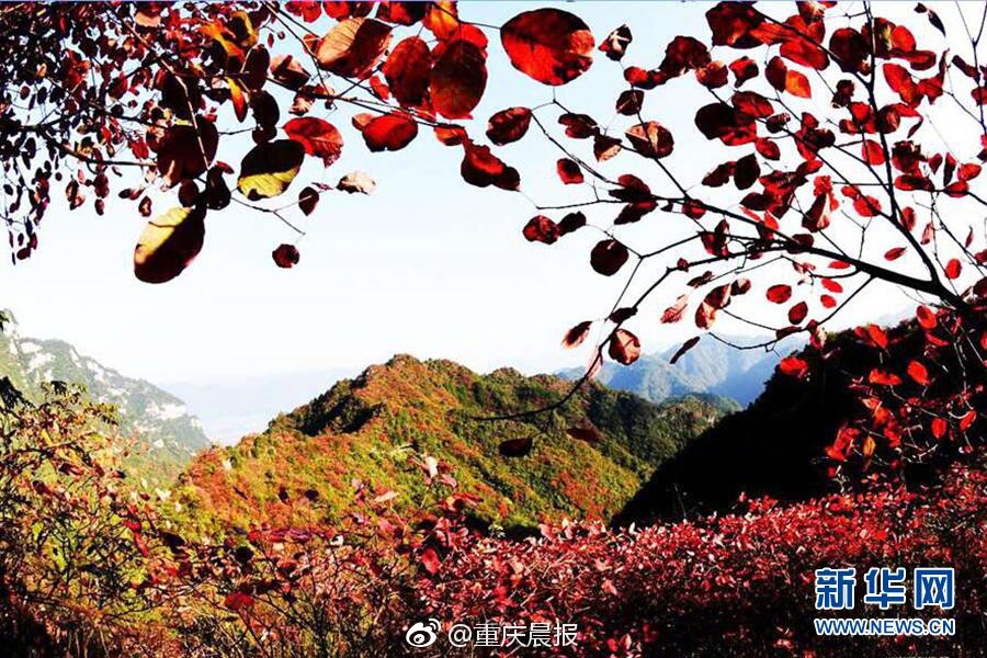 巨茎黑人大战范冰和刘涛