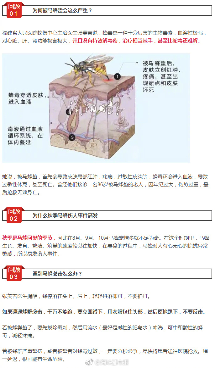 乱子伦Xxxxvideos