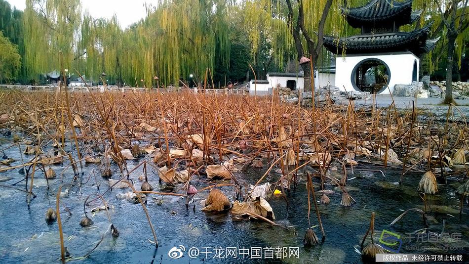 黄频网站