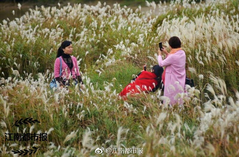 欧美成人a级做爱