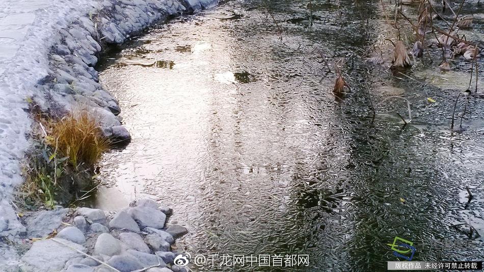 本城小百合