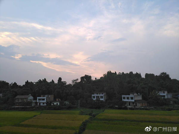 秘书边打电话边被躁H