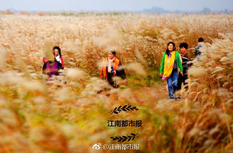成人 做爱 电影