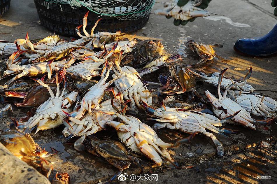 张萌澄