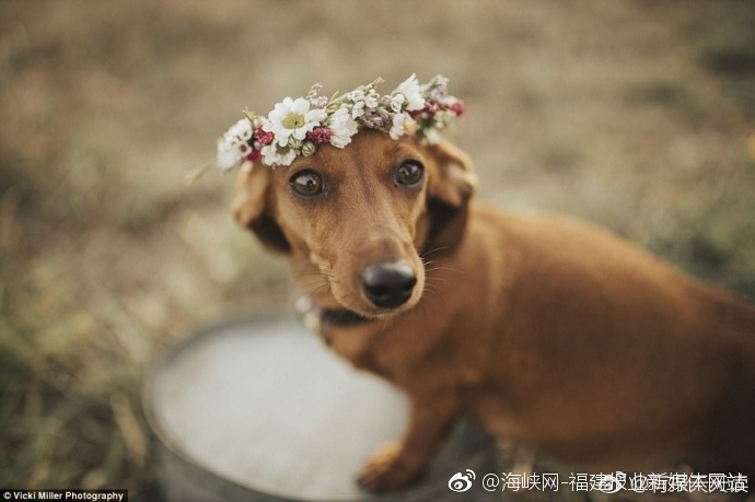 高H视频