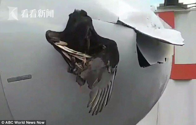 尤果网