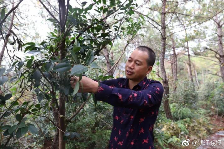 秋霞鲁丝