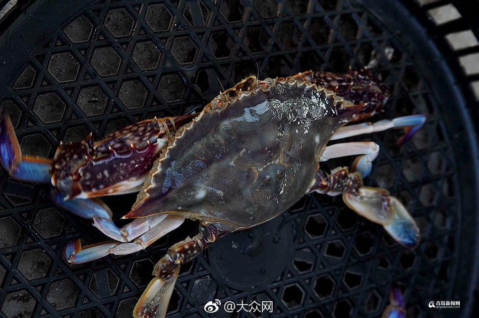 亚洲一区理乱伦