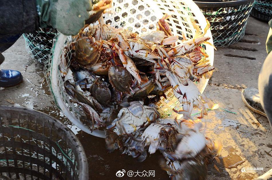 陳伊