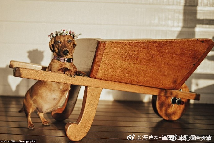 亚洲深喉电影